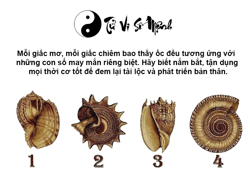 Nằm mơ thấy ốc là điềm báo gì và ứng với con số nào