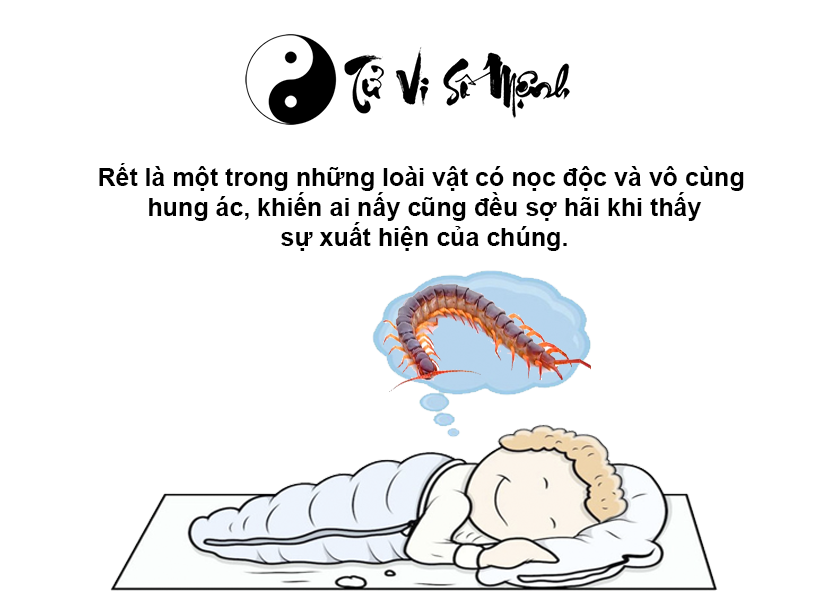 Nằm mơ thấy rết là điềm gì và con số may mắn tương ứng