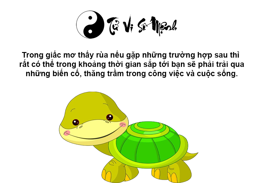 Giải mã giấc mơ thấy rùa và con số may mắn tương ứng