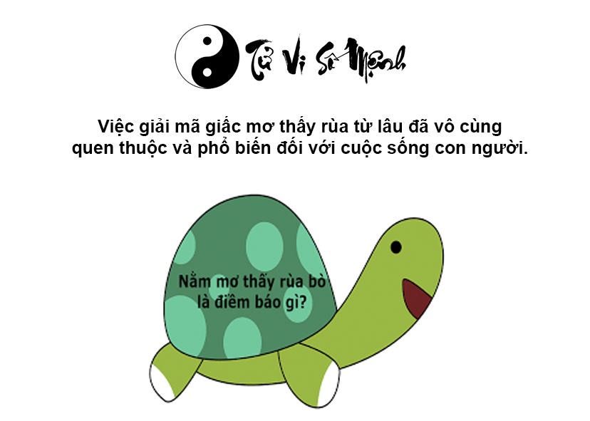 Giải mã giấc mơ thấy rùa và con số may mắn tương ứng