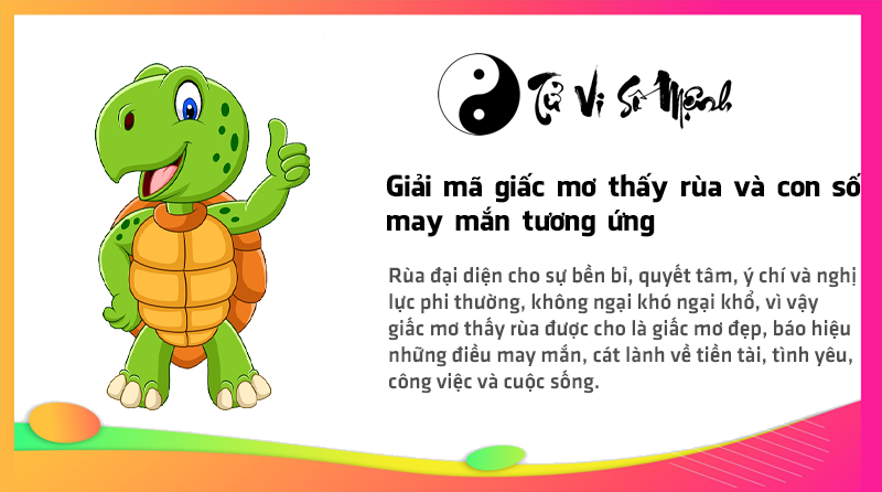 Giải mã giấc mơ thấy rùa và con số may mắn tương ứng