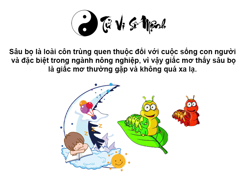 Nằm mơ thấy sâu bọ là điềm báo gì và ứng với con số nào