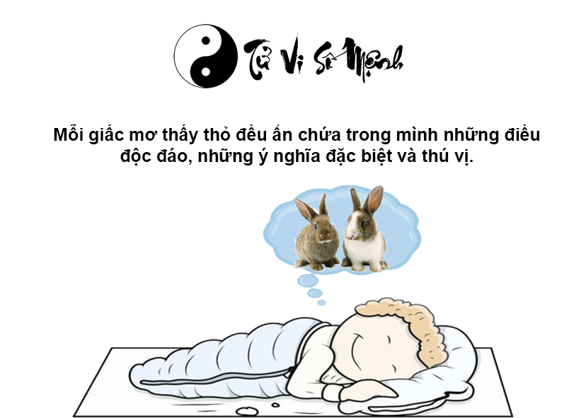 Nằm mơ thấy thỏ là điềm báo gì và ứng với con số nào