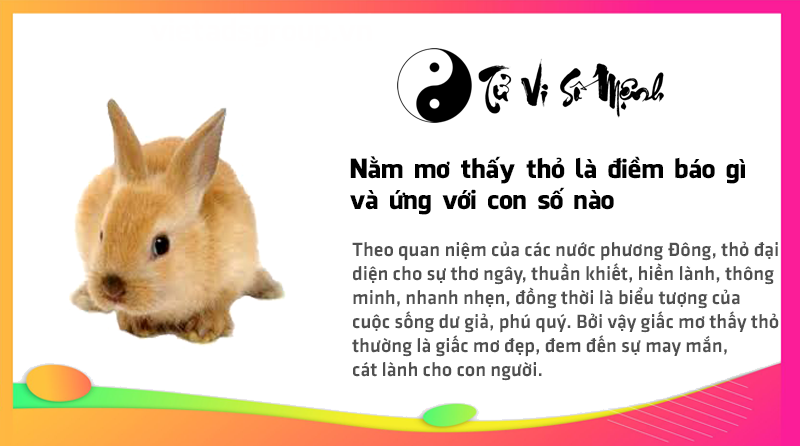 Nằm mơ thấy thỏ là điềm báo gì và ứng với con số nào