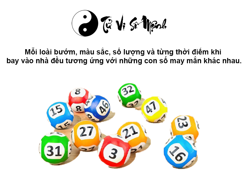 Bướm bay vào nhà là điềm gì và ứng với con số nào