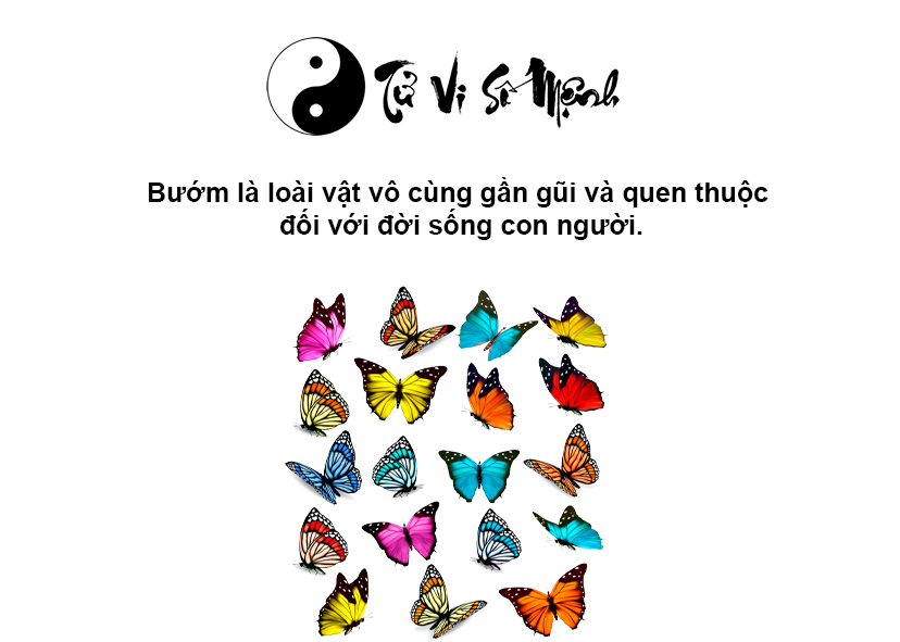 Bướm bay vào nhà là điềm gì và ứng với con số nào