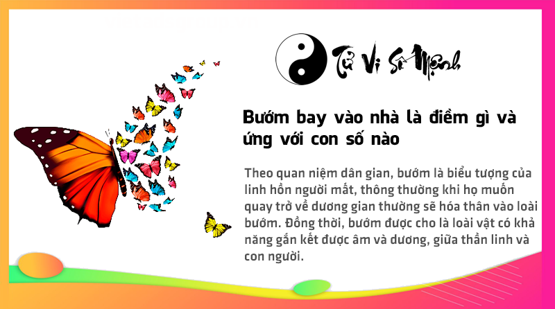 Bướm bay vào nhà là điềm gì và ứng với con số nào