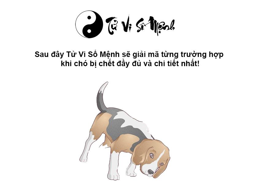 Giải mã điềm báo khi chó bị chết và con số tương ứng