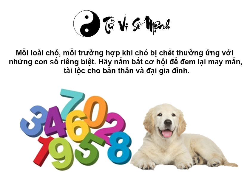 Giải mã điềm báo khi chó bị chết và con số tương ứng