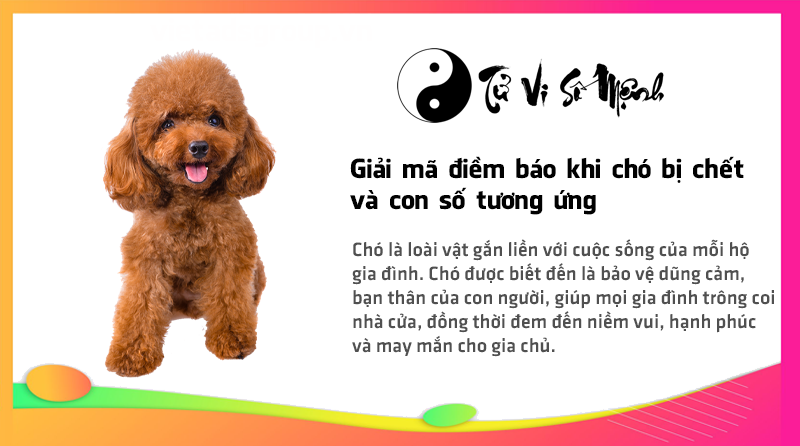 Giải mã điềm báo khi chó bị chết và con số tương ứng