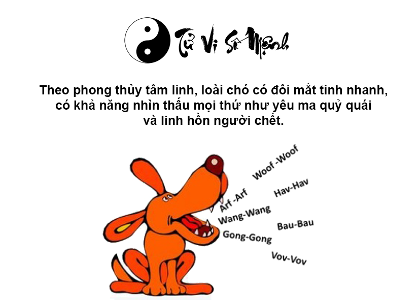 Giải m&atilde; ch&oacute; sủa li&ecirc;n hồi v&agrave;o ban đ&ecirc;m