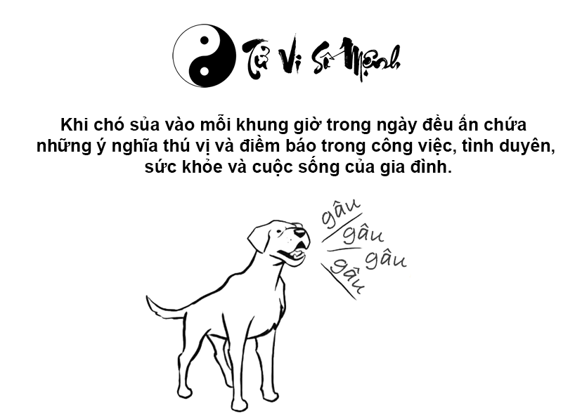 Giải m&atilde; ch&oacute; sủa li&ecirc;n hồi v&agrave;o ban đ&ecirc;m