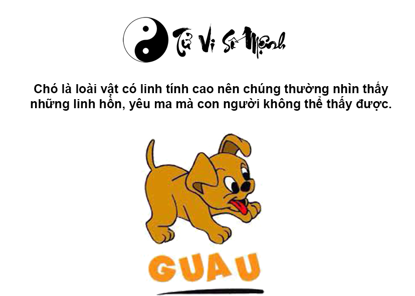 Giải m&atilde; ch&oacute; sủa li&ecirc;n hồi v&agrave;o ban đ&ecirc;m
