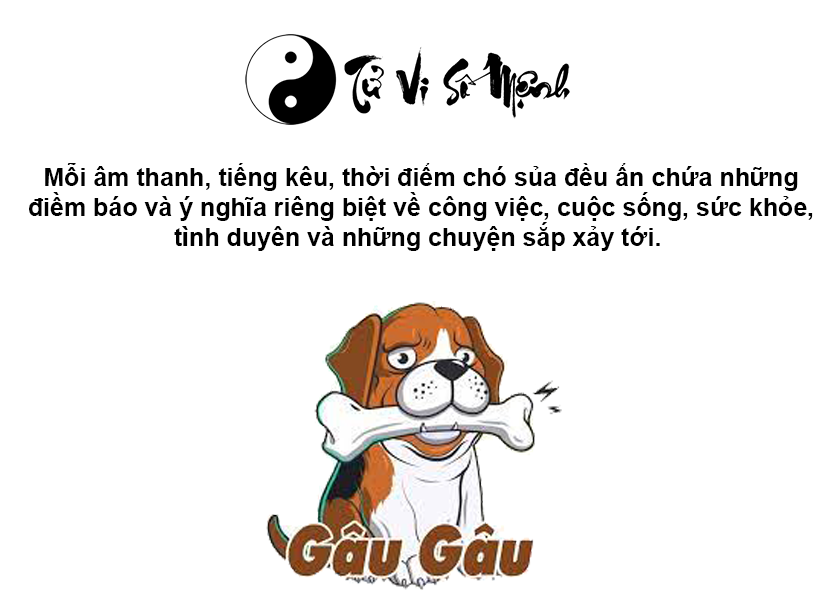 Giải m&atilde; ch&oacute; sủa li&ecirc;n hồi v&agrave;o ban đ&ecirc;m