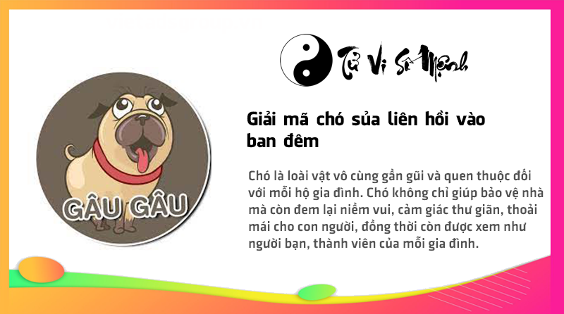Giải m&atilde; ch&oacute; sủa li&ecirc;n hồi v&agrave;o ban đ&ecirc;m