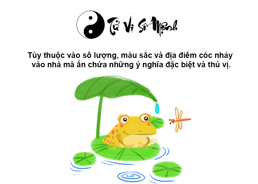 Cóc vào nhà là điềm gì và tương ứng với con số nào