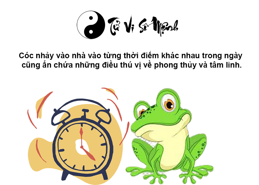 Cóc vào nhà là điềm gì và tương ứng với con số nào