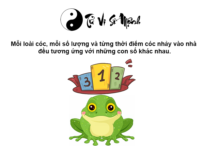 Cóc vào nhà là điềm gì và tương ứng với con số nào