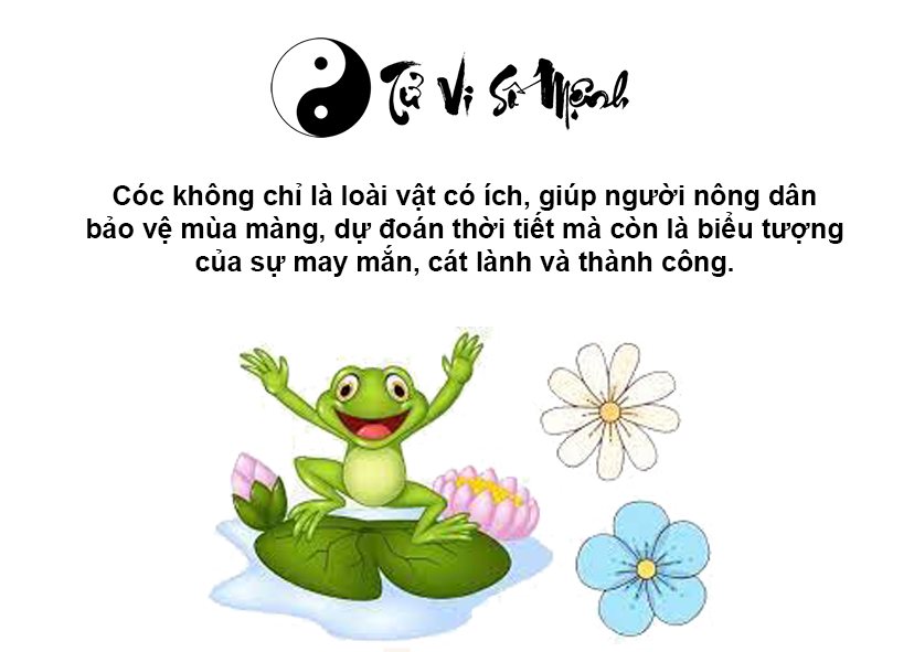 Cóc vào nhà là điềm gì và tương ứng với con số nào