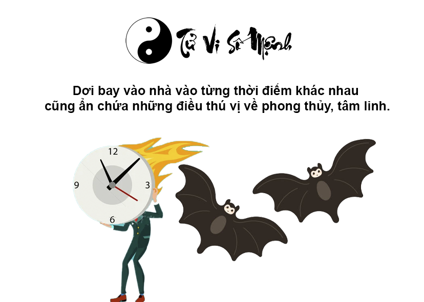 Dơi bay vào nhà là điềm gì và ứng với con số nào