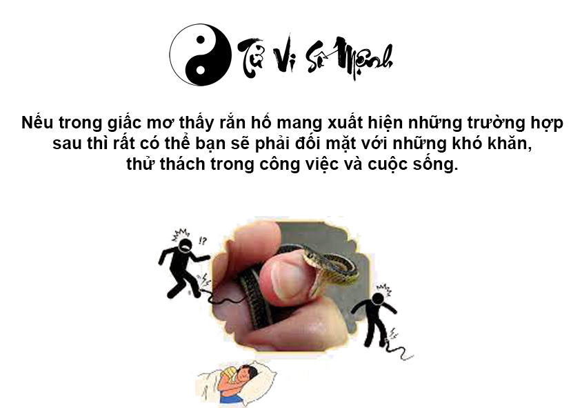 Mơ thấy rắn hổ mang là điềm báo gì và ứng với con số nào