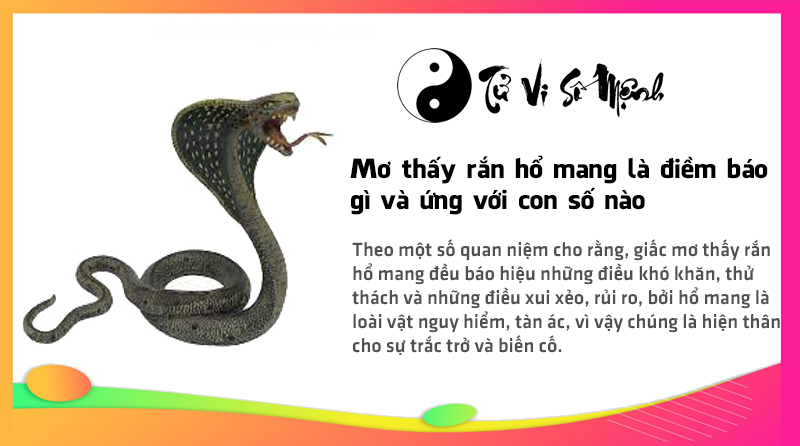 Mơ thấy rắn hổ mang là điềm báo gì và ứng với con số nào