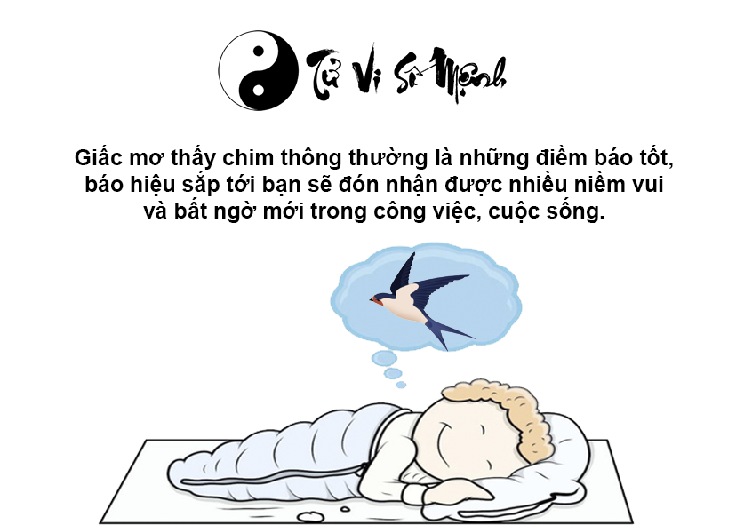 Nằm mơ thấy chim là điềm báo gì và ứng với con số nào