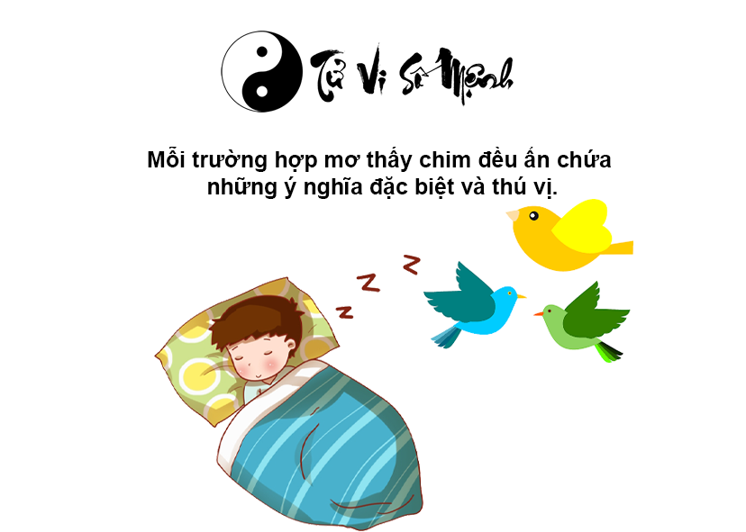 Nằm mơ thấy chim là điềm báo gì và ứng với con số nào