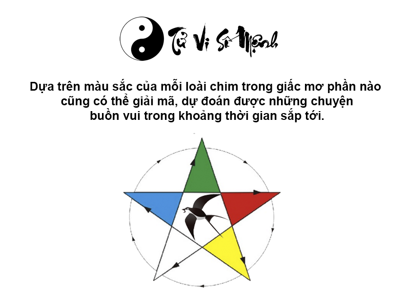 Nằm mơ thấy chim là điềm báo gì và ứng với con số nào