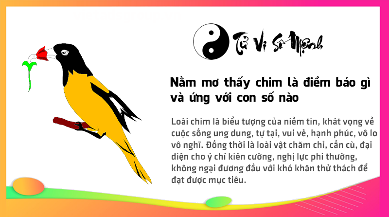 Nằm mơ thấy chim là điềm báo gì và ứng với con số nào