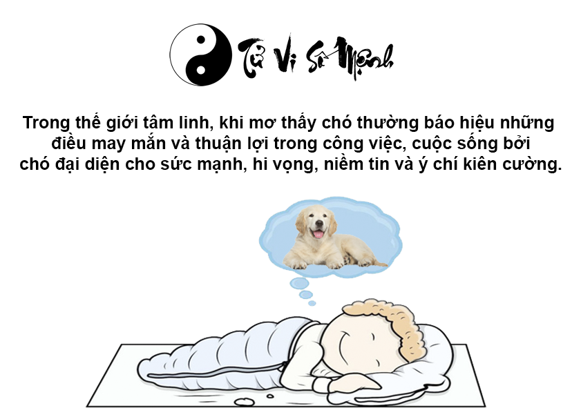 Mơ thấy chó là điềm báo gì và ứng với con số nào