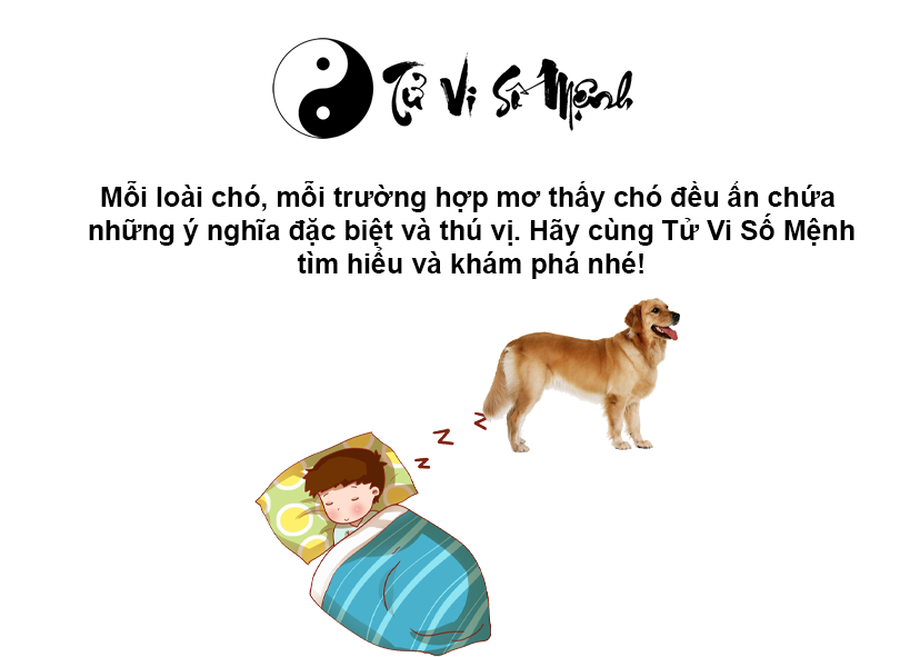 Mơ thấy chó là điềm báo gì và ứng với con số nào