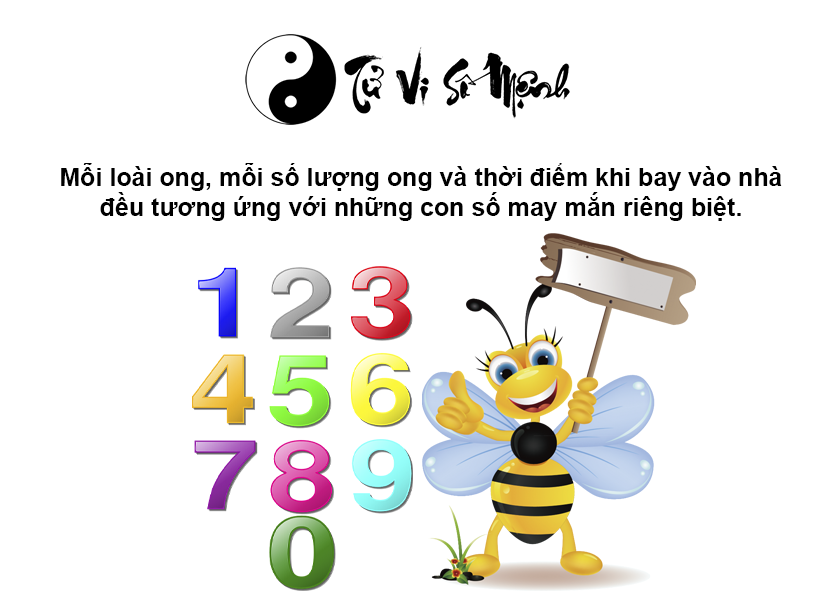 Ong bay vào nhà là điềm gì và ứng với con số nào