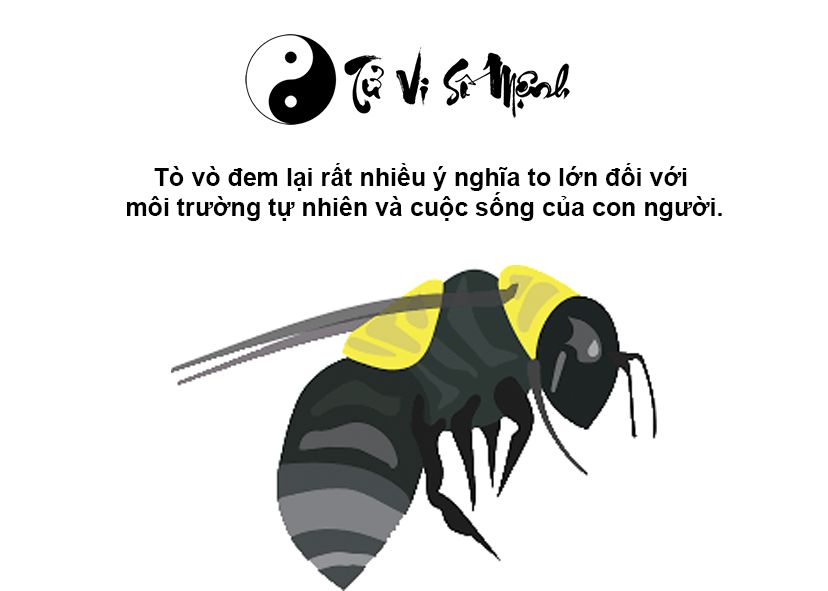 Tò vò làm tổ trong nhà là điềm gì và ứng với con số nào