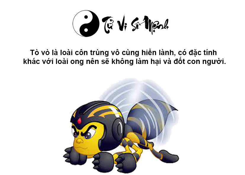 Tò vò làm tổ trong nhà là điềm gì và ứng với con số nào