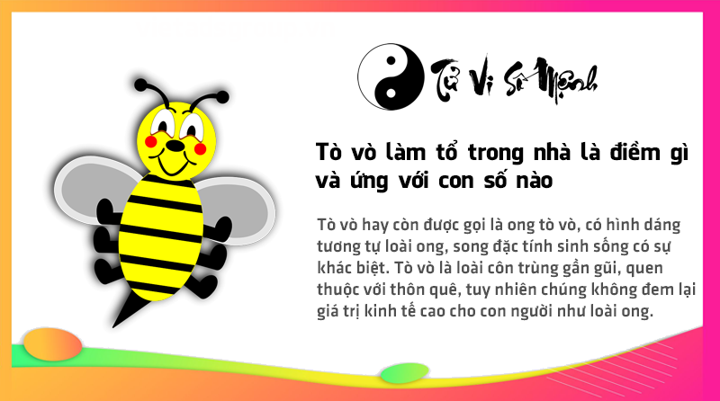 Tò vò làm tổ trong nhà là điềm gì và ứng với con số nào