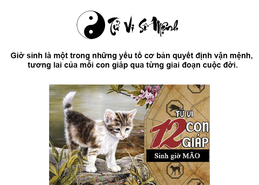 Giờ Mão là gì và giờ Mão là mấy giờ