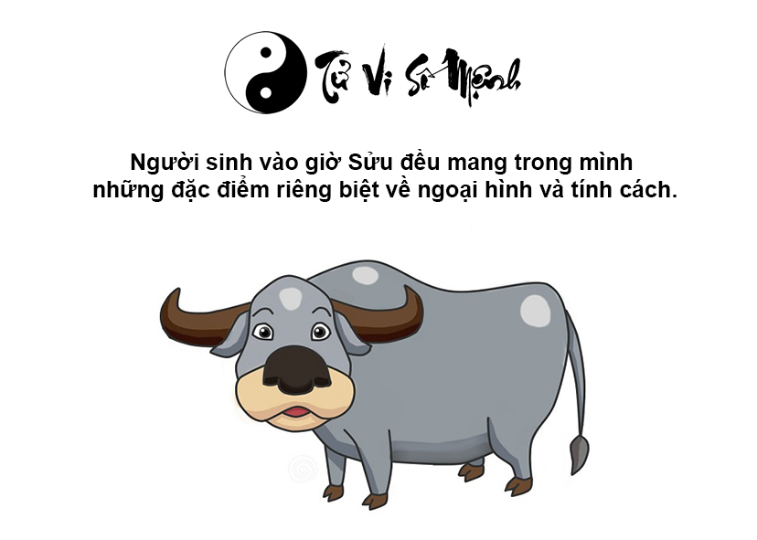 Giờ Sửu là gì và giờ Sửu là mấy giờ