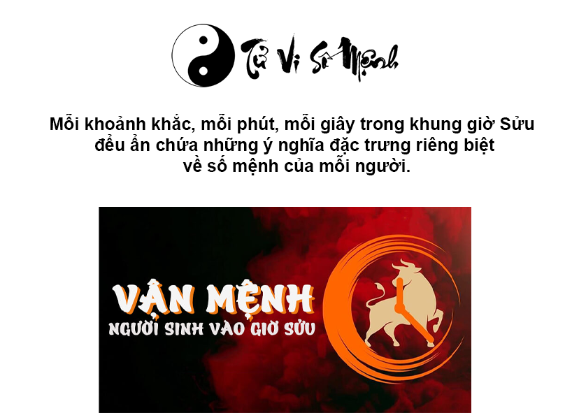 Giờ Sửu là gì và giờ Sửu là mấy giờ
