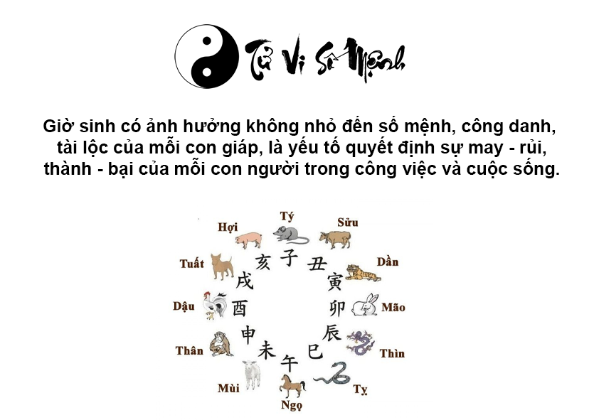 Giờ Sửu là gì và giờ Sửu là mấy giờ