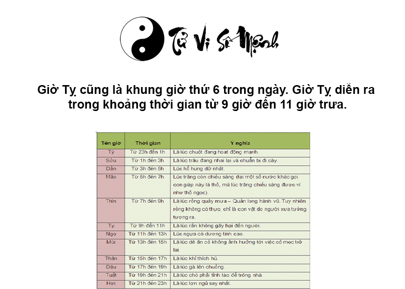 Giờ Tỵ là gì và giờ Tỵ là mấy giờ