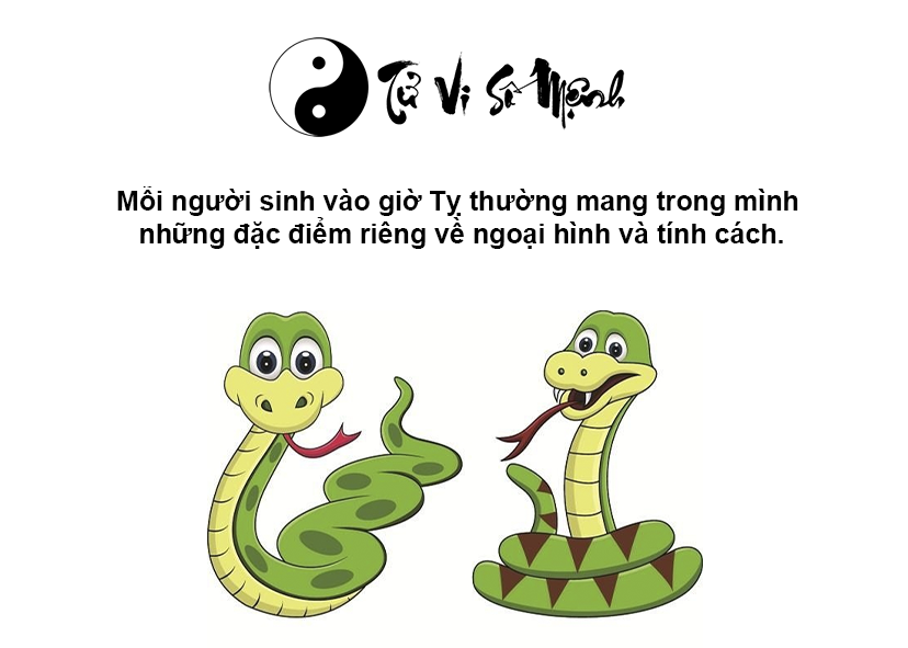 Giờ Tỵ là gì và giờ Tỵ là mấy giờ
