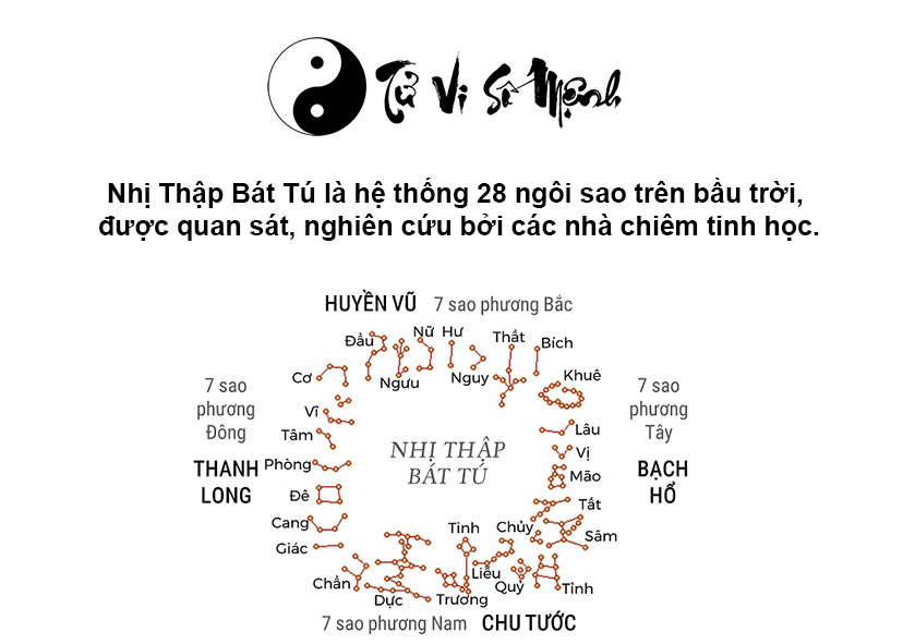 Nhị Thập B&aacute;t T&uacute; l&agrave; g&igrave; v&agrave; &yacute; nghĩa của 28 ch&ograve;m sao