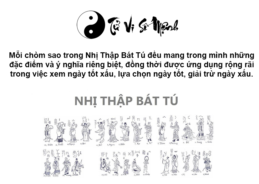 Nhị Thập B&aacute;t T&uacute; l&agrave; g&igrave; v&agrave; &yacute; nghĩa của 28 ch&ograve;m sao