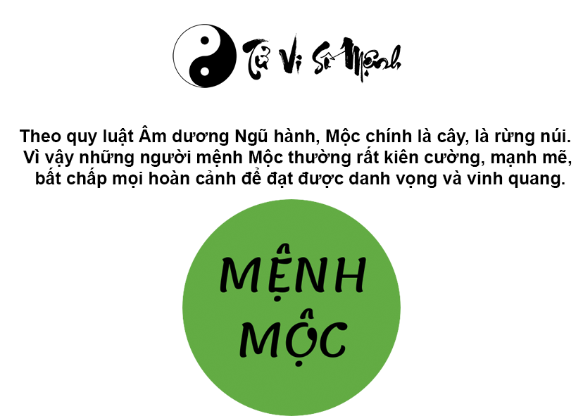 Mệnh Mộc hợp màu gì và màu sắc may mắn của người mệnh Mộc