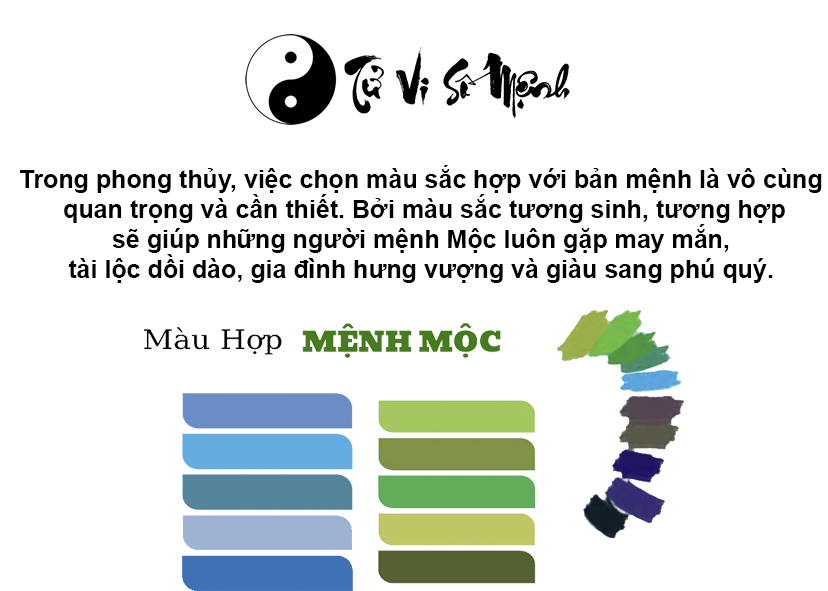 Mệnh Mộc hợp màu gì và màu sắc may mắn của người mệnh Mộc