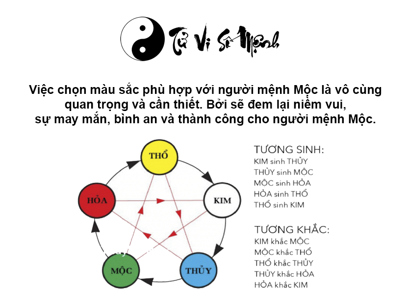 Mệnh Mộc hợp màu gì và màu sắc may mắn của người mệnh Mộc