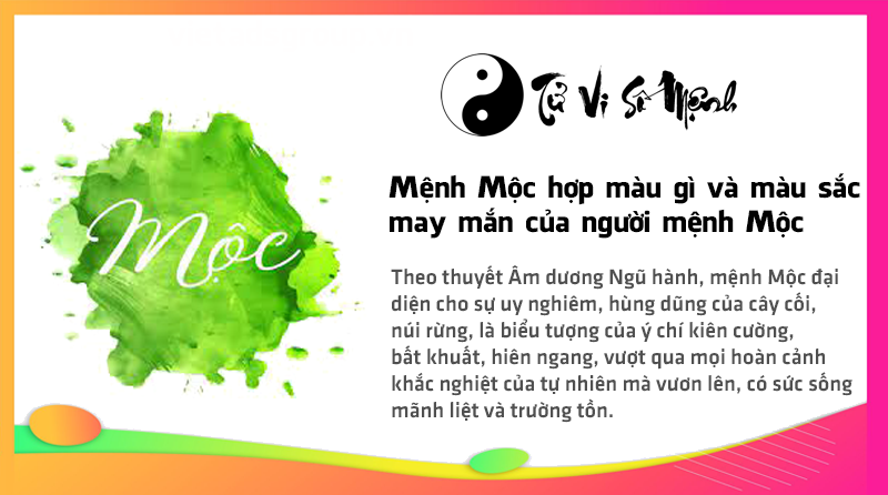 Mệnh Mộc hợp màu gì và màu sắc may mắn của người mệnh Mộc