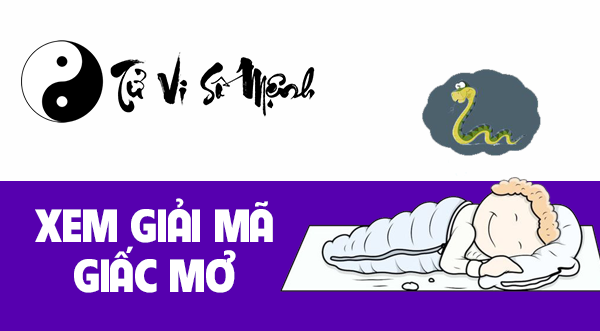 Giải mã giấc mơ toàn tập chính xác nhất - Tử vi số mệnh