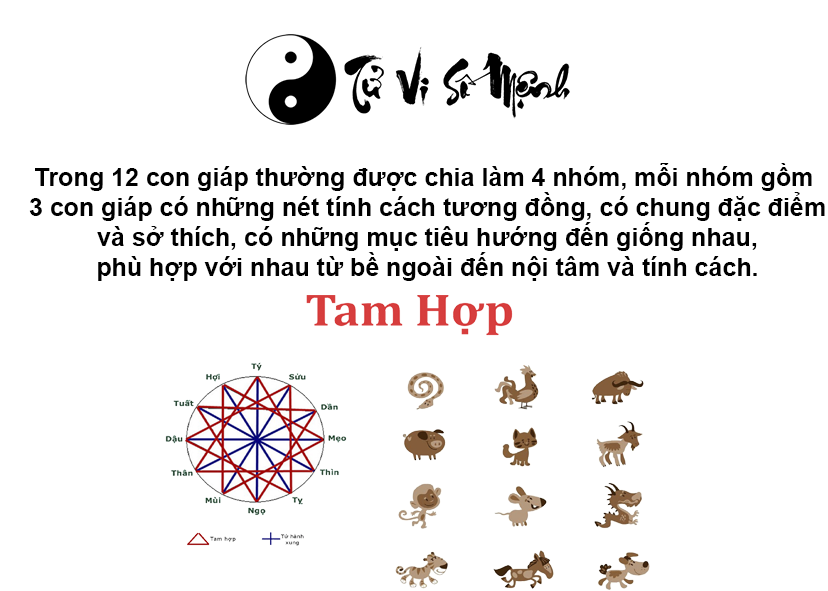 Tam hợp là gì và ý nghĩa của tuổi tam hợp